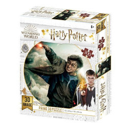 HARRY POTTER - Harry - Puzzle lenticulaire 3D 300P '46x31cm'FIGRS263025_1.jpg670889330064