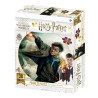 HARRY POTTER - Harry - Puzzle lenticulaire 3D 300P '46x31cm'FIGRS263025_1.jpg670889330064