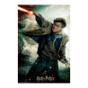 HARRY POTTER - Harry - Puzzle lenticulaire 3D 300P '46x31cm'FIGRS263025_2.jpg670889330064