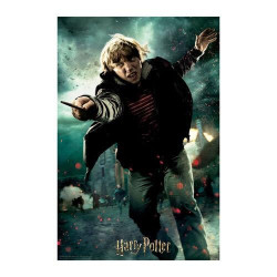 HARRY POTTER - Ron - Puzzle lenticulaire 3D 300P '46x31cm'FIGRS263029_2.jpg670889330101