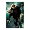HARRY POTTER - Ron - Puzzle lenticulaire 3D 300P '46x31cm'FIGRS263029_2.jpg670889330101