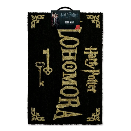 HARRY POTTER - Paillasson 40X60 - AlohomoraFIGGP85067_1.png5050293850672