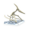 Dinosaure bandai hobby plastic model kit plannosaurus pteranodonBANMK66282B.jpg4573102662828