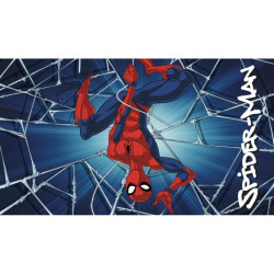 MARVEL - Spider-Man - Tapis en mousse 40x60cmFIGAYM089SPTP_1.jpg5407010079852