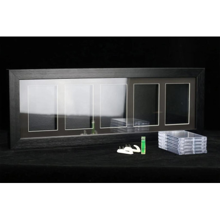 EVORETRO - Display Case for 5 Cards In Magnetic Case 1pcFIGEVO8669_1.jpeg3701492108669