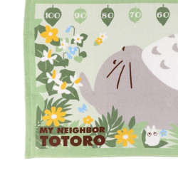 MON VOISIN TOTORO - Totoro se repose - Grande Serviette 60x120cmFIGMARU90349_2.jpg4992272903492
