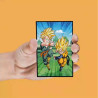 DRAGON BALL Z - Personnages - Set de 4 Magnet LenticulaireFIGSDTDRB24016_4.jpg8435450240164