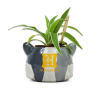 HARRY POTTER - Poufsouffle - Pot Pour PlanteFIGPLNTHP02_2.png5055453489198