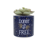 HARRY POTTER - Dobby - Faux Pot à  Plantes 6.5cmFIGPLNTFHP01_2.png5055453494949