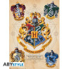HARRY POTTER - Blason & Maraudeurs - Set 2 posters '52x38'FIGABYDCO731_2.jpg3665361060567