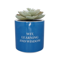 HARRY POTTER - Serdaigle - Faux Pot à  Plantes 6.5cmFIGPLNTFHP06_2.png5055453494956