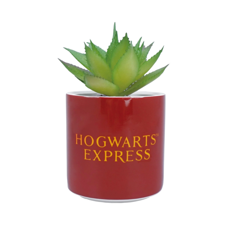 HARRY POTTER - Plateforme 9 3/4 - Faux Pot à  Plantes 6.5cmFIGPLNTFHP02_2.png5055453494963